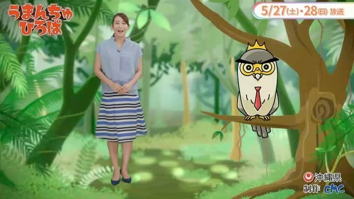 のインスタグラム：「📺 #うまんちゅひろば 5/28（日）OTV8:25〜  車をお持ちの皆さん、 自動車税の納税通知書が届いていませんか😊  今年の納付期限は5月31日です🚘  自動車税の使い道や、簡単・便利な自動車税の納付方法をご紹介します♪」