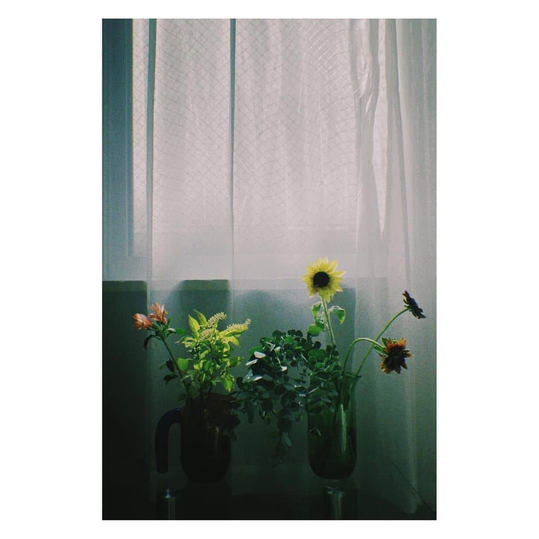 岩崎拓馬のインスタグラム：「💐💐💐💐 . . @the.daffodils.flowershop   お花のある生活。 . . #happytime」