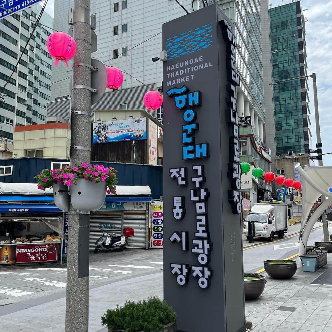 Shinjyu Lou Reid/リード真珠のインスタグラム：「처음 온 부산 🌊 날씨도 밥도 술도 다 좋았어 👍❤️ 初めてのプサンめちゃよかった 最終日あたりはサトゥリうつりそうなるくらい久しぶりに沢山韓国語話せた👸 (ママとおばあちゃんの荷物持ち/通訳としてきた旅行🙃)  📍해운대암소갈비집(ヘウンデアムソカルビ/1人前58000wonと強気値段やけどサービスもめっちゃいい。빨리빠리文化の韓国と違って、ゆっくり食べてね〜と言ってくれる🤣待ち時間40分くらい待ったかな。タクシーのアジョシがめっっちゃここおいしいよ！って教えてくれたからホテルまで乗せてってお願いしたけど途中でuターンして戻ってもらった。)  📍해운대전통시장(ヘウンデ市場/値段観光地値段のところ注意やけど地元価格にするとメニューも会話も全部🇰🇷.実の母みたいに食べ方教えてくれるだけじゃなくてアーンしてくれる😂始めてたこの踊り食い食べたけど水槽からタコさん引っ張り出されるのみてしまったから有り難み感じながら食べるものの申し訳なかった…プサン発のマッコリもめっちゃ美味しい🥳シュワシュワ)  📍춘하추동밀명(春夏秋冬冷麺/Naverマップで口コミめちゃいい冷麺屋さん。卵みたいなまろやかな味の麺なので私はお酢多めに入れてさっぱり食べるのがよかった。激混み。メニューも会話も🇰🇷人多すぎて店員さん達キャパオーバーしてた)  📍해운대블루라인파크(ブルーラインパーク/海沿いの鉄道でカプセル貸し切ってのんびり移動🚃天気いいと日本列島見えるらしい)  📍해운대 다퍼주는집 (ヘウンデタポジュヌンチブ/メニュー会話全部韓国語でプチパニック起こしながら注文した貝焼きは頑張った甲斐あるくらい最高に美味しかった🥹❤️日本のテレビでも紹介されたり芸能人めちゃくるらしい。お酒が美味しい🤤)」