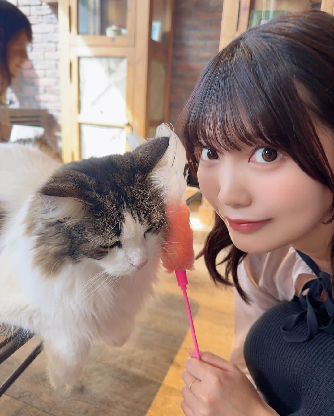 松下玲緒菜さんのインスタグラム写真 - (松下玲緒菜Instagram)「. 猫カフェ行ってきた🤍 いやしだね〜〜 . 渋谷センター街店 @mocha.shibuya  . . . #猫カフェmocha #猫カフェ #渋谷猫カフェ #渋谷カフェ #猫 #ねこ #ねこすたぐらむ #cat #cafe #pr」5月27日 15時19分 - matsushita_reona