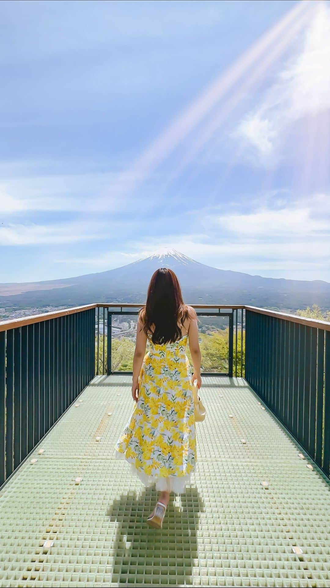 Stella Leeのインスタグラム：「It is just how I live 🗻🗻🗻」