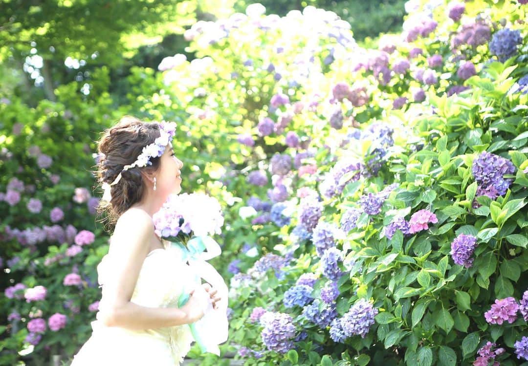 大進ウェディングのインスタグラム：「. . #紫陽花 photo はじめます𓂃 𓈒𓏸𑁍‬ . . プランの詳細はプロフィールTOPのHPよりご確認お願い致します* @daishin.sosha_wedding」