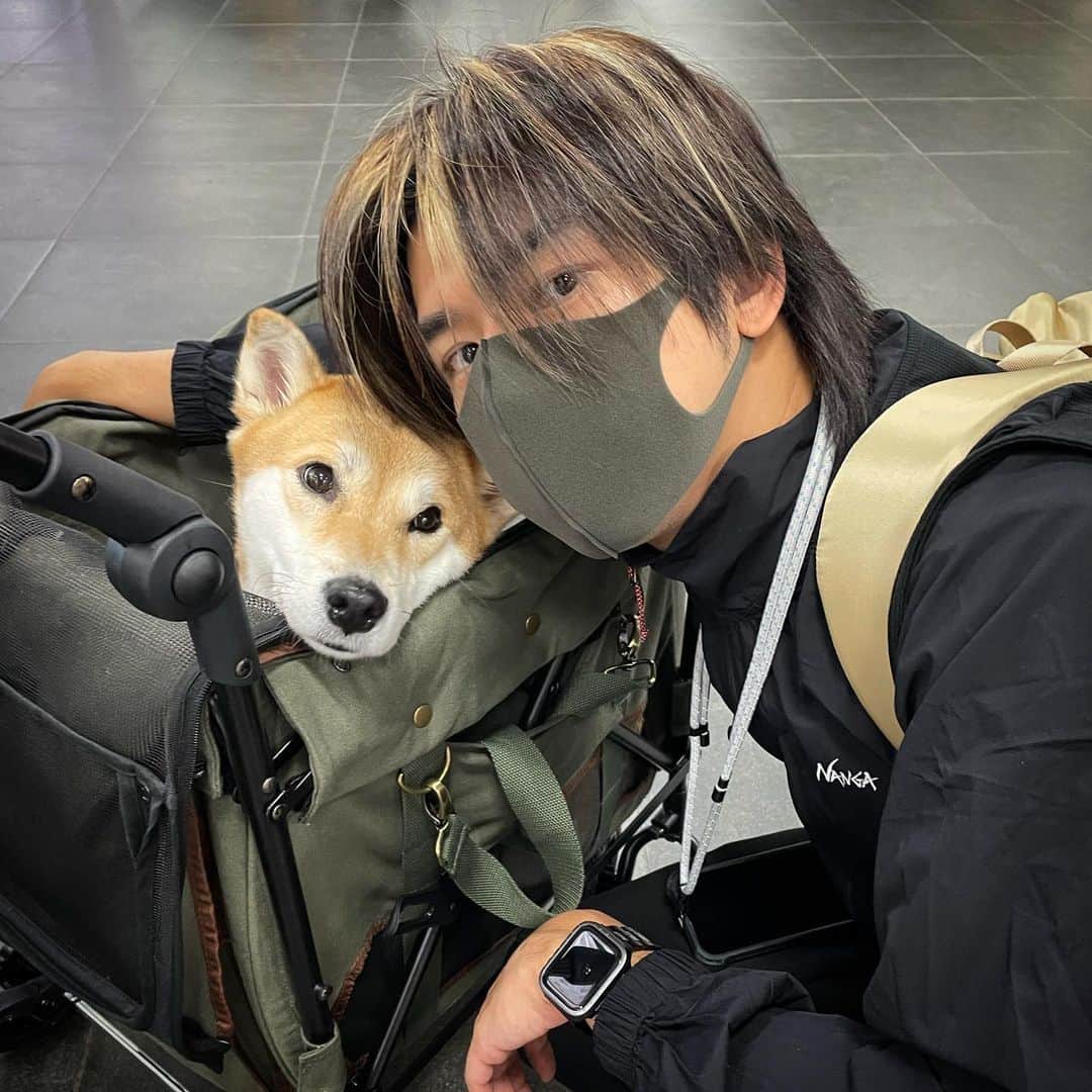 チェン・ボーリンのインスタグラム：「極島森林2🌲 第二旅程✨Let’s Go !!! 🚂 @afuriinu   #極島森林2」