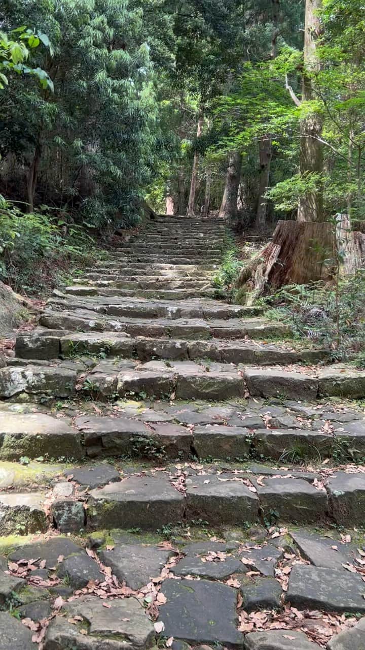 青山倫子のインスタグラム：「_ 熊野古道。 世界遺産の道を歩けるだなんて。 なんとも贅沢だ。  苔むした石畳と、これまた苔むした杉の木立が美しい。 絵本の中の世界みたいに、どこまでも綺麗で完璧で。 すっごい素敵な場所だった。  大門坂から那智山を通って那智の滝まで歩いてみた。 たっぷり堪能しながらあっち見たりこっち見たりして、 2時間半くらい歩いたかな。 距離にして大体3キロくらいかな。 石段は不揃いだったりで足元に気を使ったり、アップダウンもたくさん。 お天気で気持ちよかったけど、たったその距離でもなかなか疲れる。 昔はこれよりも遥かに長い距離を歩いたのか。 晴れの日もあれば、雨の日も雪の日も。 凄すぎる。。 次はもうちょっとだけ長い距離に挑戦してみたい。  #青山倫子 #熊野古道 #世界遺産 #なかなか疲れた #気持ちよかった」