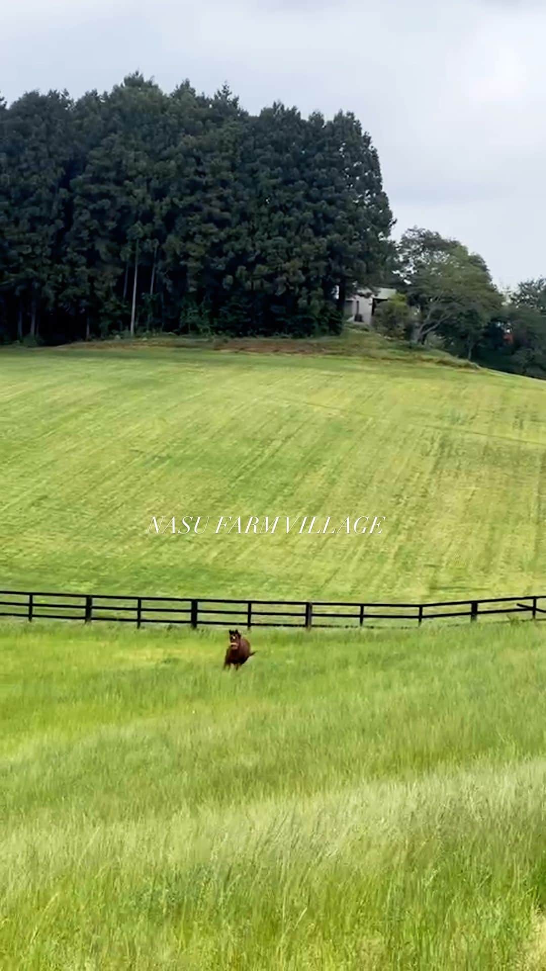 紗栄子のグルメインスタ