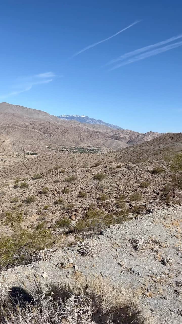 アレクサ・シメカのインスタグラム：「🌴☀️ Palm Springs 🌺⛸️」