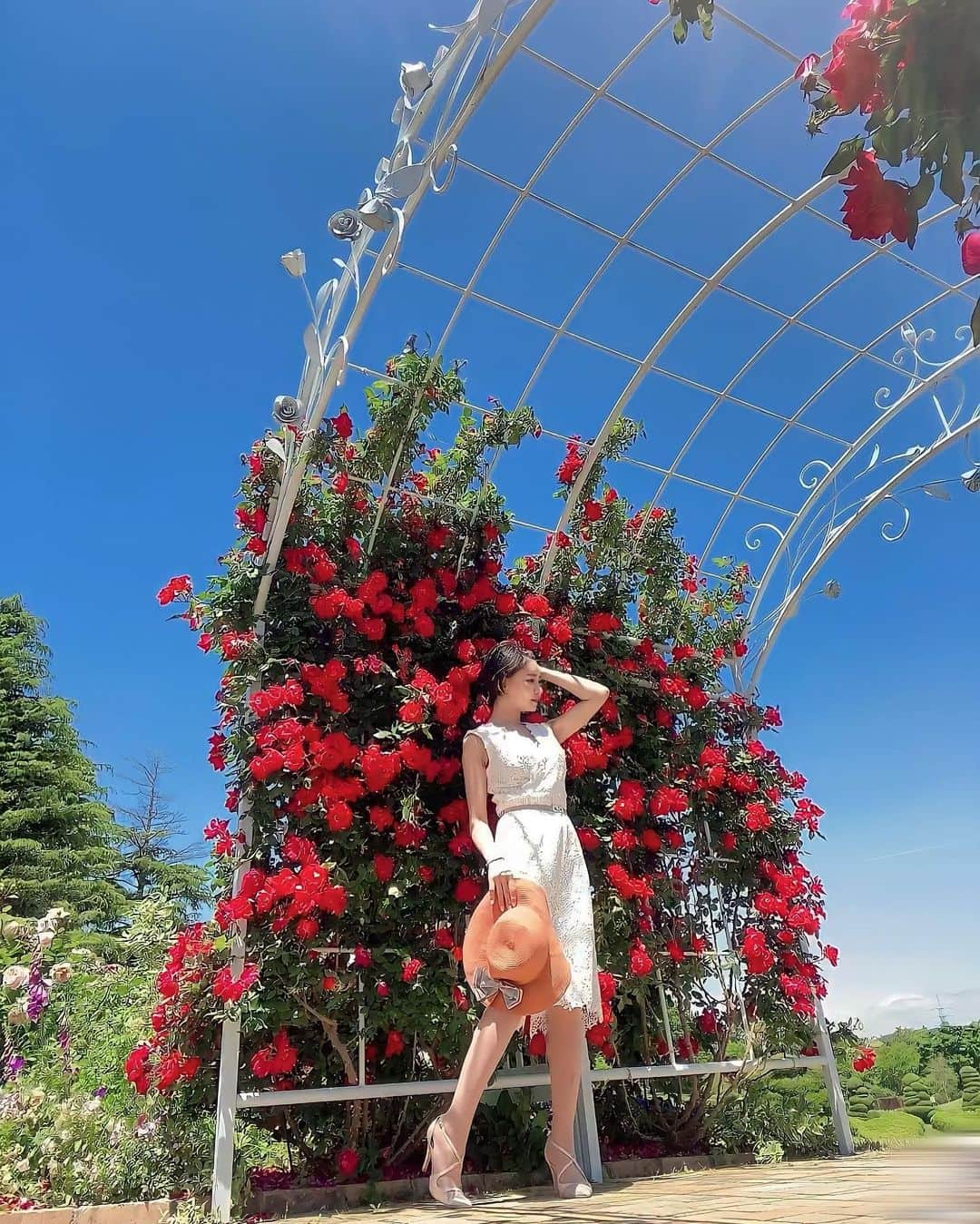 明里ともかのインスタグラム：「香り立つ季節に🌹 ・ ・ ・ #浜松フラワーパーク  #薔薇」