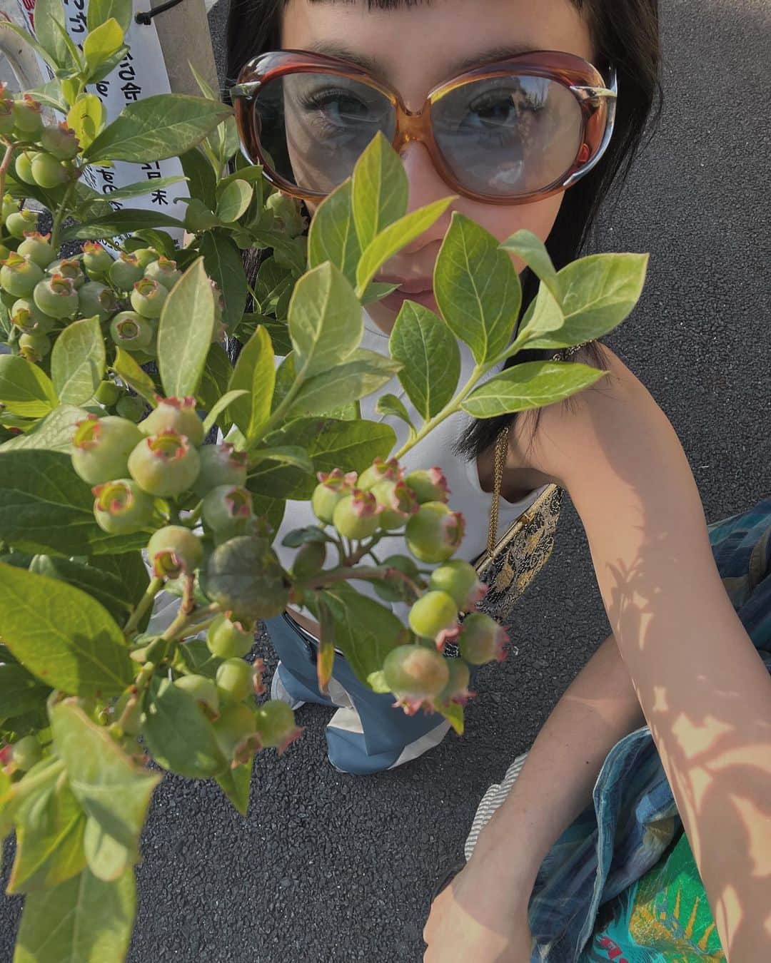 Juriさんのインスタグラム写真 - (JuriInstagram)「もう植物増やさない予定だったのにブルーベリーの木を買いました🫐  レザーパンツ、ブルーは他にない感じがお気に入り 淡いトップスも合います！ 海外のアンティークショップで買ってから 全然かけてないブルーのサングラス合わせ🫐🫐🫐  #juemi #今夜20時」5月27日 18時10分 - juritakiguchi