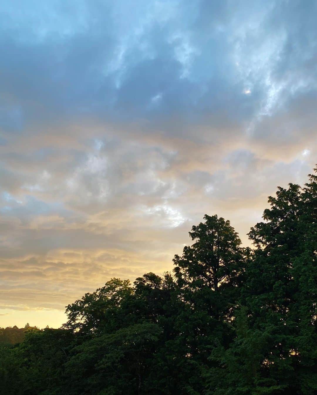 林田岬優さんのインスタグラム写真 - (林田岬優Instagram)「早起きすると、空が綺麗な季節に ♡🐶#dogfriendly」5月27日 18時28分 - miyu_hayashida