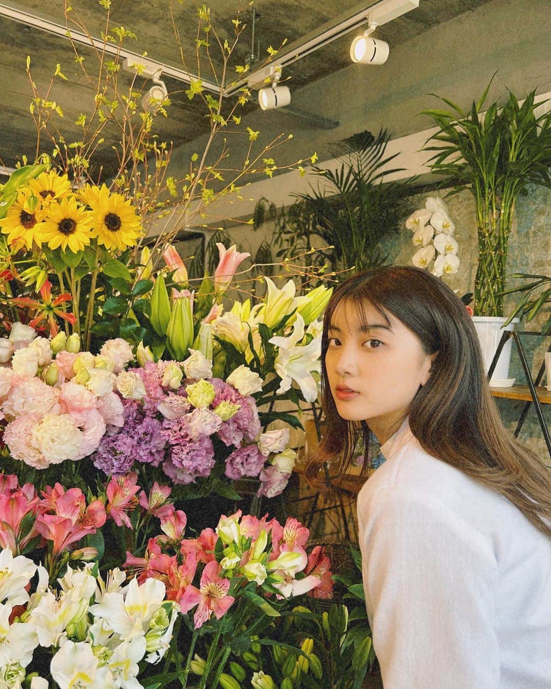 HITOMIのインスタグラム：「Hey,guys 🍳 昨日花屋へ行った、マジできれいなお花 kayak aku💐 好きなお花はなに？私はチューリップです🌷Anjay すぎ」
