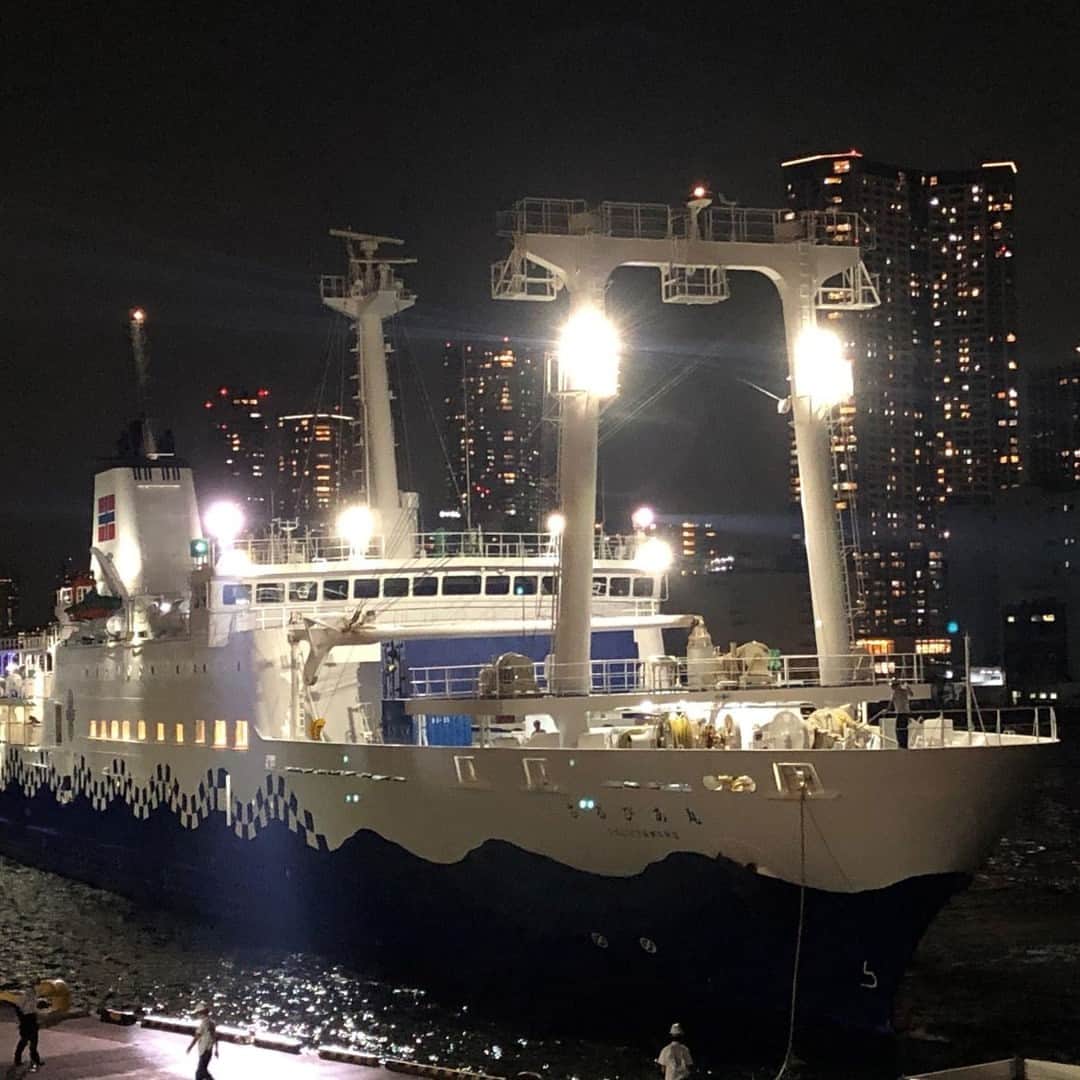 レッツエンジョイ東京さんのインスタグラム写真 - (レッツエンジョイ東京Instagram)「ゆかた姿で500円割引も👘✨  大型客船で東京湾をクルージングしながら、美しい夜景と多彩なフードや音楽が楽しめる『東京湾納涼船』が7/7(金)～9/18(月・祝)まで開催。  日～木曜(金土祝を除く)は、ゆかた姿の大人は男女とも500円引となり、1,000円で乗船できます！  納涼船ならではの夏祭りをぜひ楽しんでみて😊  🔸竹芝客船ターミナル 📍東京都港区海岸1-12 🚉竹芝駅  #レッツエンジョイ東京 #おでかけ #おでかけスポット #船 #クルージング #納涼船 #大型客船 #自然 #風景 #名所 #日本の風景　 #休日の過ごし方 #イベント #東京イベント #浴衣 #お祭り #夏祭り #浴衣イベント #浴衣女子 #浴衣デート #お台場夜景 #夏休み #東京湾 #東京湾クルーズ #船上パーティー #船旅 #さるびあ丸 #レインボーブリッジ #竹芝客船ターミナル #東京湾納涼船」5月27日 19時01分 - lets_enjoytokyo