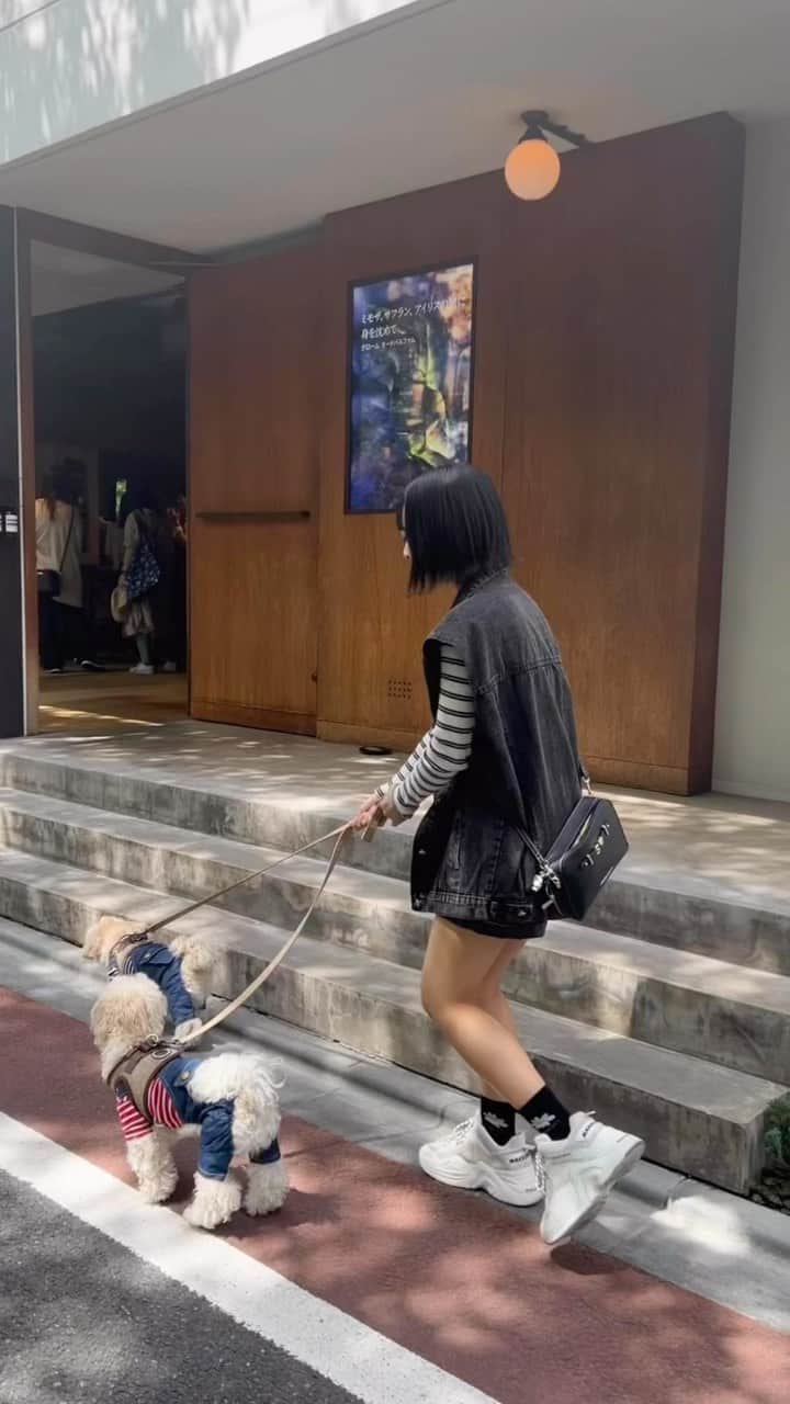 山田菜々のインスタグラム：「犬と妹と妹みたいな後輩ちゃん🧸🧡 ランチしてお散歩してカフェに行きました😎 やまりな東京に来ると連絡してくれるの〜🥹♡♡ ゆきこまとすずがたまたまペアルックになってた日😂🫰」
