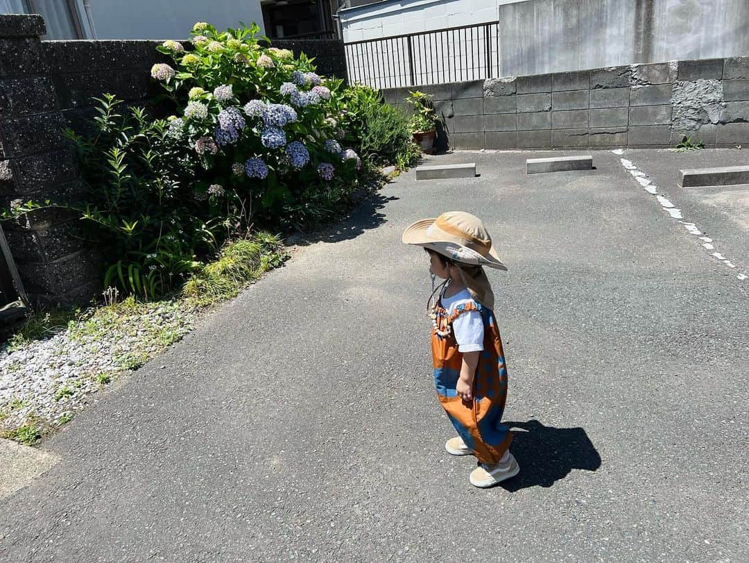 竹中夏海さんのインスタグラム写真 - (竹中夏海Instagram)「先日、鎌倉に小旅行してきたんですが 走り回りたい盛りの幼児との旅の最適解を ようやく見つけた気がする  月齢というよりは個々の性格によるものなのかも しれないけど、うちはとにかくどこでも走りたいみたいです  あんまり泣いたり叫んだりするタイプではないので 0歳のうちからお出かけはよくする方だったんですが、 ここ数ヶ月はどこ行ってもずっと  「そっち行かないで！」 「走ったら危ないよ！」  ばかり言ってた気がする…  んなことゆうても走りたいよなぁ、衝動だもんなぁ  で、あんまり好きではなさげな海に行ってみたら どうやら浜辺は悪くないらしい  ずーーーーっと走り回ってました よかったねぇ  翌日一応水族館とかも行ってみましたが、 いまはやっぱり浅瀬で水遊びに爆はまりなようです  子が着ている @392plusm_official の撥水加工の サロペットがかなり優秀だったのでおすすめです  お宿は落ち着いていて清潔感があり、 めちゃくちゃ好みのところを見つけました  幼児が食べられるものが少ないでお馴染みの懐石料理も 仲居さんが「早めにご飯持ってきますね」 と気を利かせて下さり あんかけとか煮物の人参とか適当に潰してあげたら ぱくぱく食べていました  目的のひとつだった旅館の朝ごはんも最高  鎌倉は高校生の頃から通い詰めてるので 土地勘があって楽です  浜辺遊び、気の済むまでなるべく連れてくぞー  #子連れ旅行 #子連れ鎌倉 #長谷 #由比ヶ浜 #七里ヶ浜 #江ノ島 #えのすい」5月27日 19時46分 - tknkntm