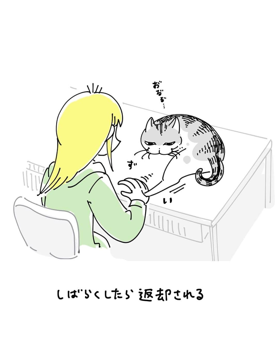 キュルZさんのインスタグラム写真 - (キュルZInstagram)「手をポンポンしてほしい  #キュルガ #夜は猫といっしょ #猫 #cat #猫漫画 #猫のいる暮らし」5月27日 20時01分 - kyuryuz