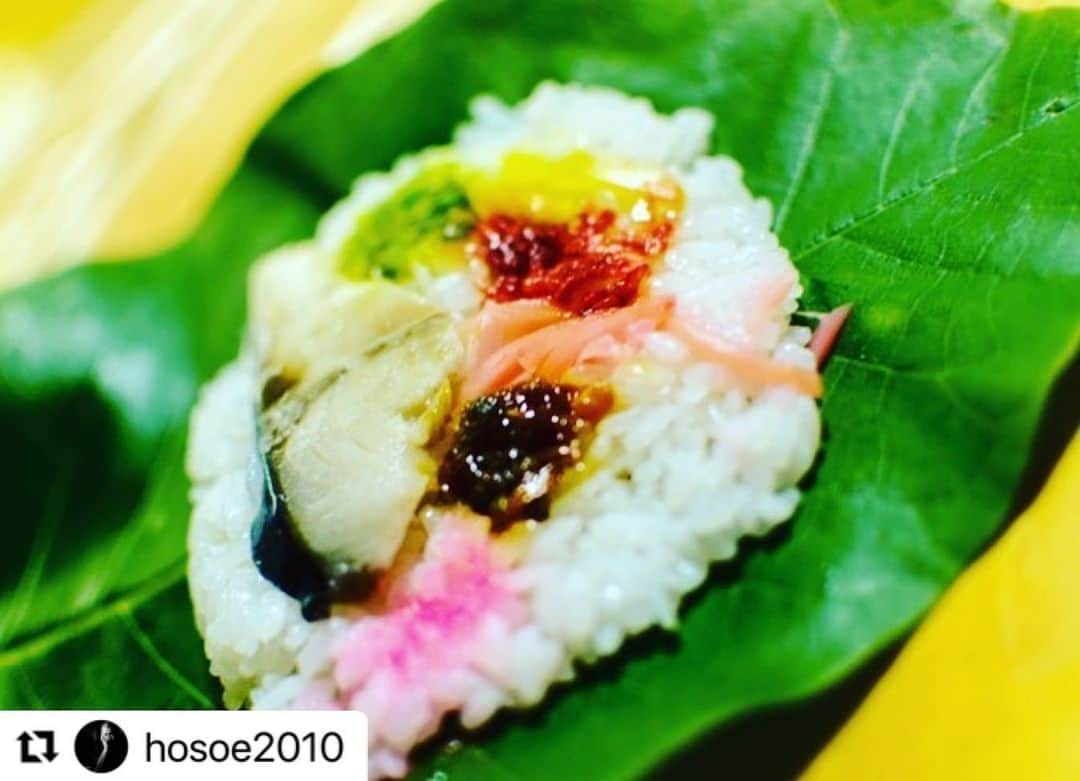 のインスタグラム：「#Repost @hosoe2010 with @use.repost ・・・ #ふるさとカメラマン #朴葉寿司 #朴葉 #郷土料理 #旬  #門和佐 #下呂 #南飛騨 #南飛騨下呂 #gifu #japan #🇯🇵  #nikon #にこん #ないこん  朴葉寿司の季節 葉の優しい香りと酢飯の香り 家それぞれの具材や盛り付け 美味しい郷土料理 葉を採って洗って拭いて 鮭と鯖を酢じめにして 葉を並べて 酢飯持って具材盛り付けて かなりの手間 感謝！  #gerostagram   最初に作った方は誰だろう？  ついつい食べ過ぎる  この街を見渡すと あちこちに朴の木があって なんかいい それぞれの朴葉寿司がある それもまたいい」
