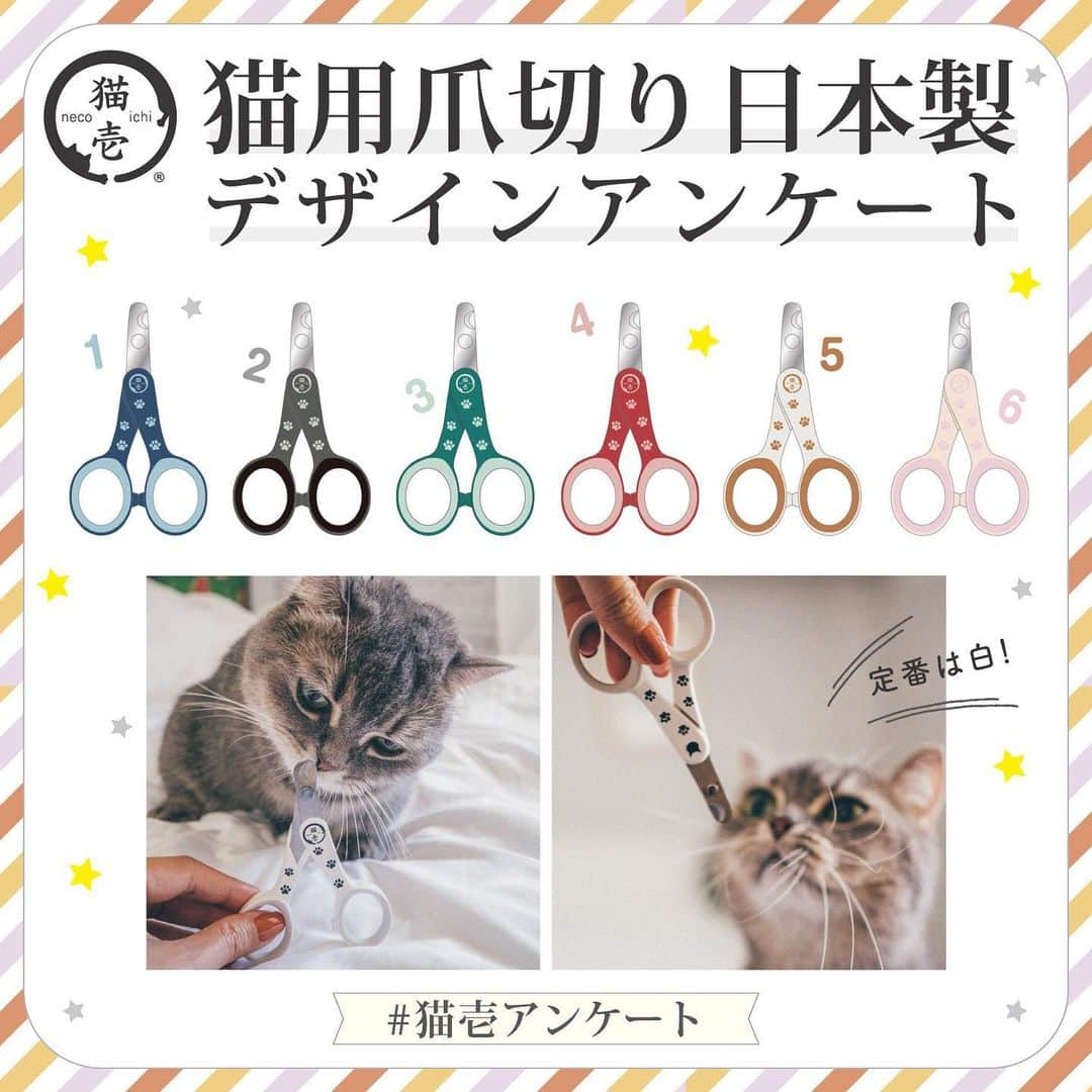 猫壱（ねこいち•ネコイチ）さんのインスタグラム写真 - (猫壱（ねこいち•ネコイチ）Instagram)「4番の画像はストーリーズからご確認ください！  4番の画像が抜けておりました。 申し訳ございませんでした。 ストーリーズにて追加を致しておりますのでご確認くださいませ。  【#猫壱アンケート】  人気の猫用爪切りにカラーバリエーションが増えちゃうかも？！  そこでみなさんに質問です❤︎ どのお色が好きですか？！  好きなものを1つ選んでコメント欄にて教えてくださいね👍  ▫ ▫ #コメント欄に番号をどうぞ✨ #えらんだ理由やここがこうならいいな #という所があればコメントで教えてもらえると嬉しいです✨  ▫ ▫ :::::::::#猫壱 :::::::  猫壱は\…猫が幸せ、私も幸せ…/をモットーに猫グッズの開発に取り組んでいます♪  気になる方は @necoichicojp をチェックしてみてくださいね！」5月27日 20時13分 - necoichicojp