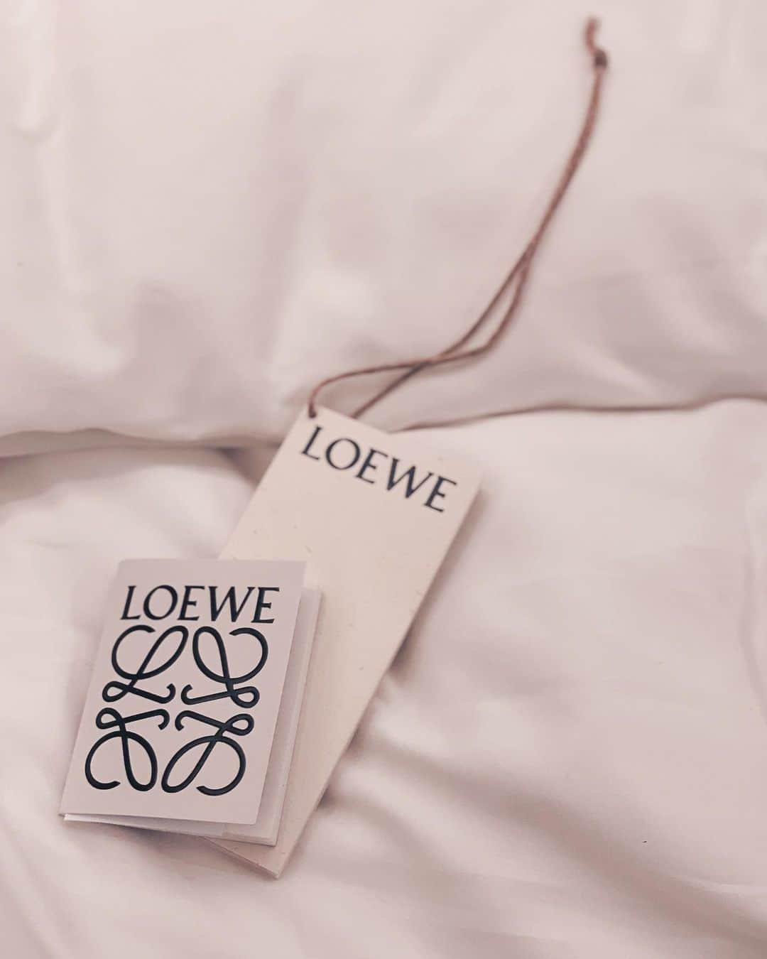 鈴木愛美さんのインスタグラム写真 - (鈴木愛美Instagram)「: 𝐋𝐎𝐄𝐖𝐄 𝐛𝐚𝐠. @loewe   ƝEW ƖƝ♡✴︎゜ Loewe's first bag 🫰🏾🖤  #loewe #loewebag #newin #bag」5月27日 20時22分 - x.manya.x