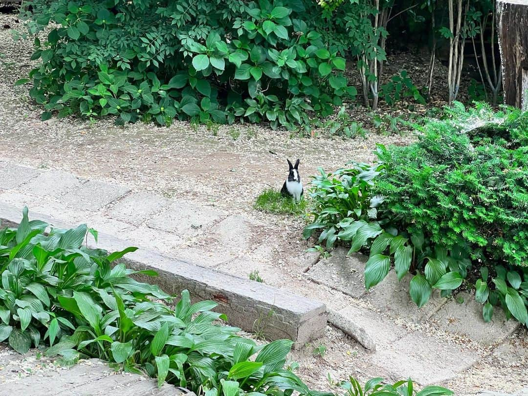 ジョンファンさんのインスタグラム写真 - (ジョンファンInstagram)「안전거리 🐰」5月27日 20時34分 - jonghwaan