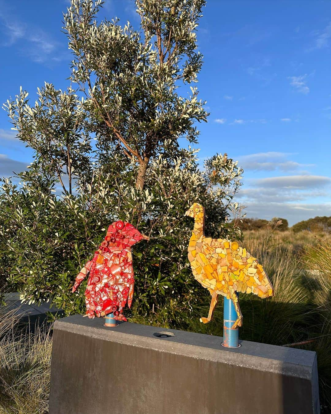 水越愛華さんのインスタグラム写真 - (水越愛華Instagram)「📍Phillip Island  #Australia#Melbourne #phillipisland   今日はフィリップ島へ🐧  天気がいい中海を眺めながら 食べるランチは最高だったし、 写真はだめで撮ってないけど 沢山のペンギンたちも見れて とても良い1日でした🫶🏻」5月27日 20時43分 - iamemika21