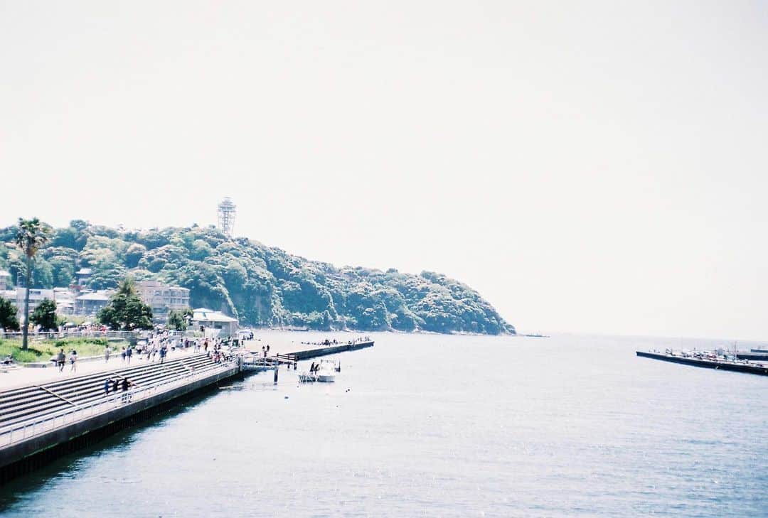 橋本淳のインスタグラム：「🌊#filmphotography #NikonS2  テレビ朝日系 金曜ナイトドラマ 『波よ聞いてくれ』  第７話、多野潤一役で出演します ずっと悪態ついてます。舞っています。 6/2(Fri.)23:15〜　お楽しみに🦧  I was swearing throughout the role...and fly.....  #波よ聞いてくれ」