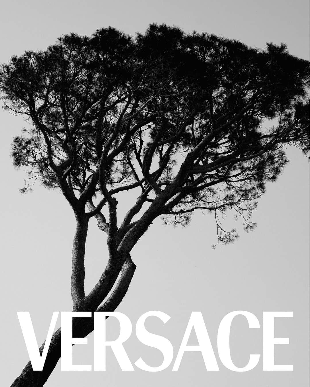 ジャンニヴェルサーチさんのインスタグラム写真 - (ジャンニヴェルサーチInstagram)「The Versace Vacanza  Cannes, South of France.  The collection is available now in-store and at Versace.com.  @donatella_versace @dualipa #VersaceLaVacanza」5月27日 21時00分 - versace