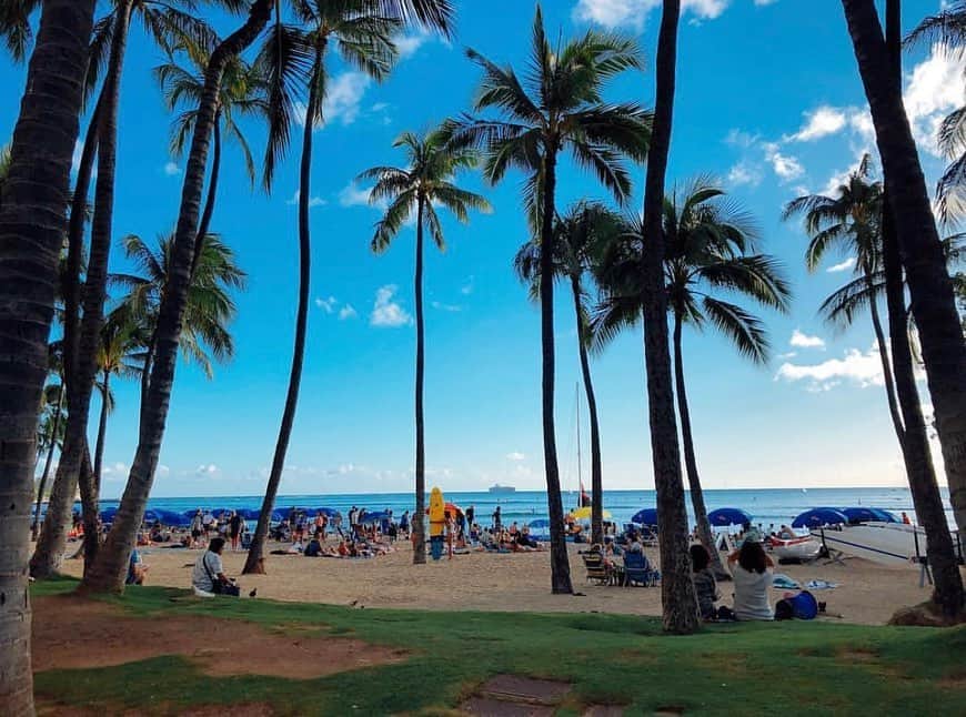 清里千聖さんのインスタグラム写真 - (清里千聖Instagram)「. 2018年に行ったときのハワイの写真🏝️ コロナ禍で海外旅行もいけない日々が続いていたので 大好きなハワイが恋しいです🥹💕🏝️ ⁡ そんなハワイを感じられるイベントが 今年も開催されています👏🏻👏🏻 『JST NAGOYA HAWAI‘I Festival』 私は明日5月28日の JST NAGOYA HAWAI‘I Festival 🏝️ オアシス21会場のMC をさせて頂きます🥰🎤 ⁡ そして、今年はMCだけではなく 前々から挑戦してみたかったフラダンスの ステージも出演させて頂きます🥹🌺 @leinaniolaa のまゆ先生に2ヶ月間レッスンを して頂きました🥹👏🏻 明日オアシス21にて14時〜 なんと ソロステージです... どうか温かい目で見守っていただけると嬉しいです🙇🏼‍♀️💕 ⁡ 明日まで開催しているので 一緒にハワイを感じましょう🥹🏝️🌺 #Hawaii #ハワイ #フラ #オアシス21」5月27日 20時58分 - chiseikiyosato
