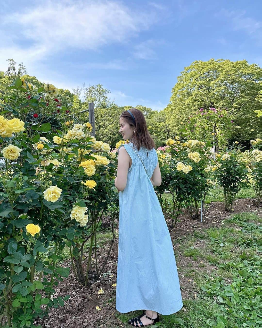 田中優衣さんのインスタグラム写真 - (田中優衣Instagram)「osampo.  お気に入りのワンピースを 着ていたので お花の前で写真撮ってもらった📷 代々木公園素敵な場所ね。」5月27日 21時10分 - heisei_8nen