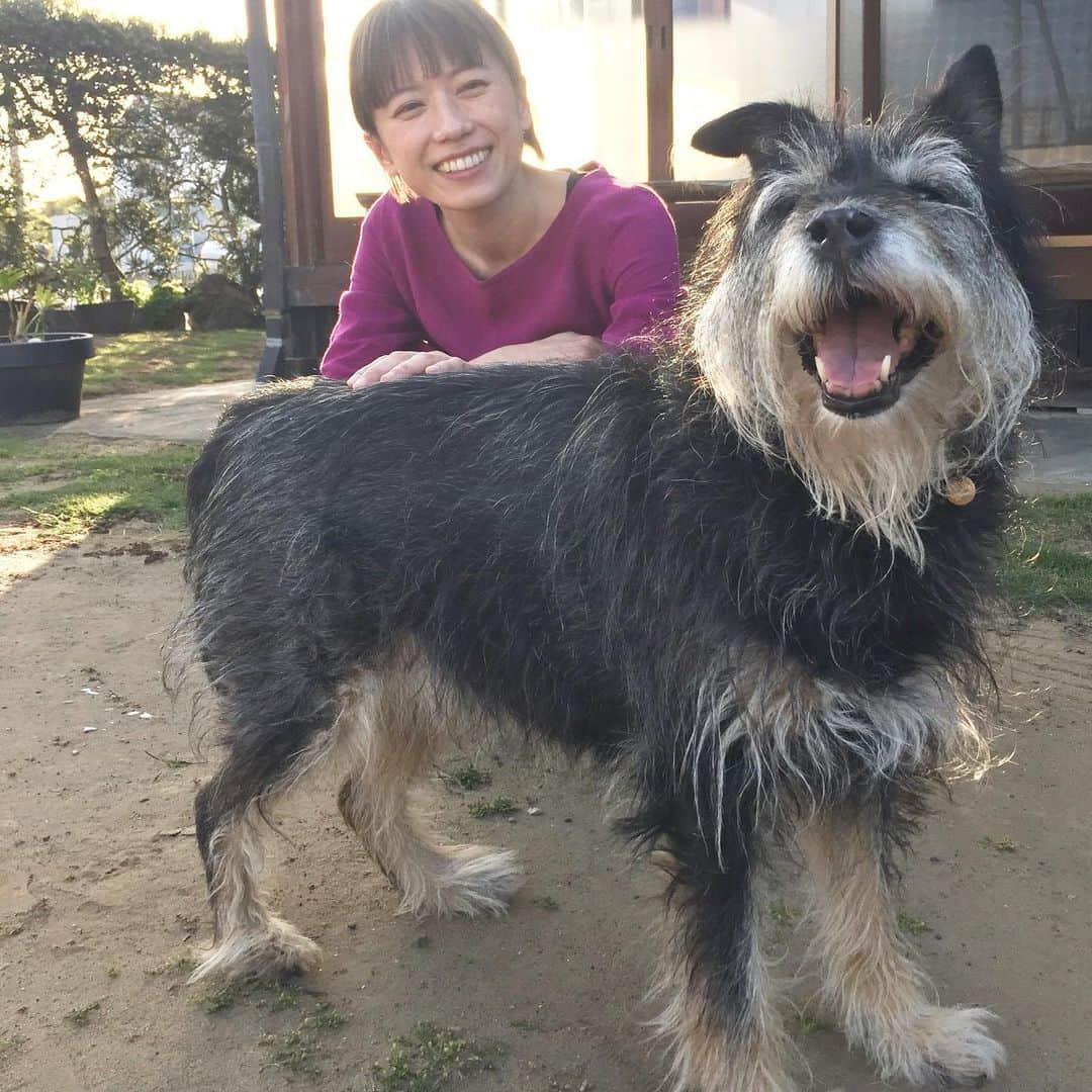 甲斐麻美さんのインスタグラム写真 - (甲斐麻美Instagram)「😆😆😆  #20230527 #kaicoの好日 #元保護犬 #保護犬を家族に」5月27日 21時41分 - kaico_asami