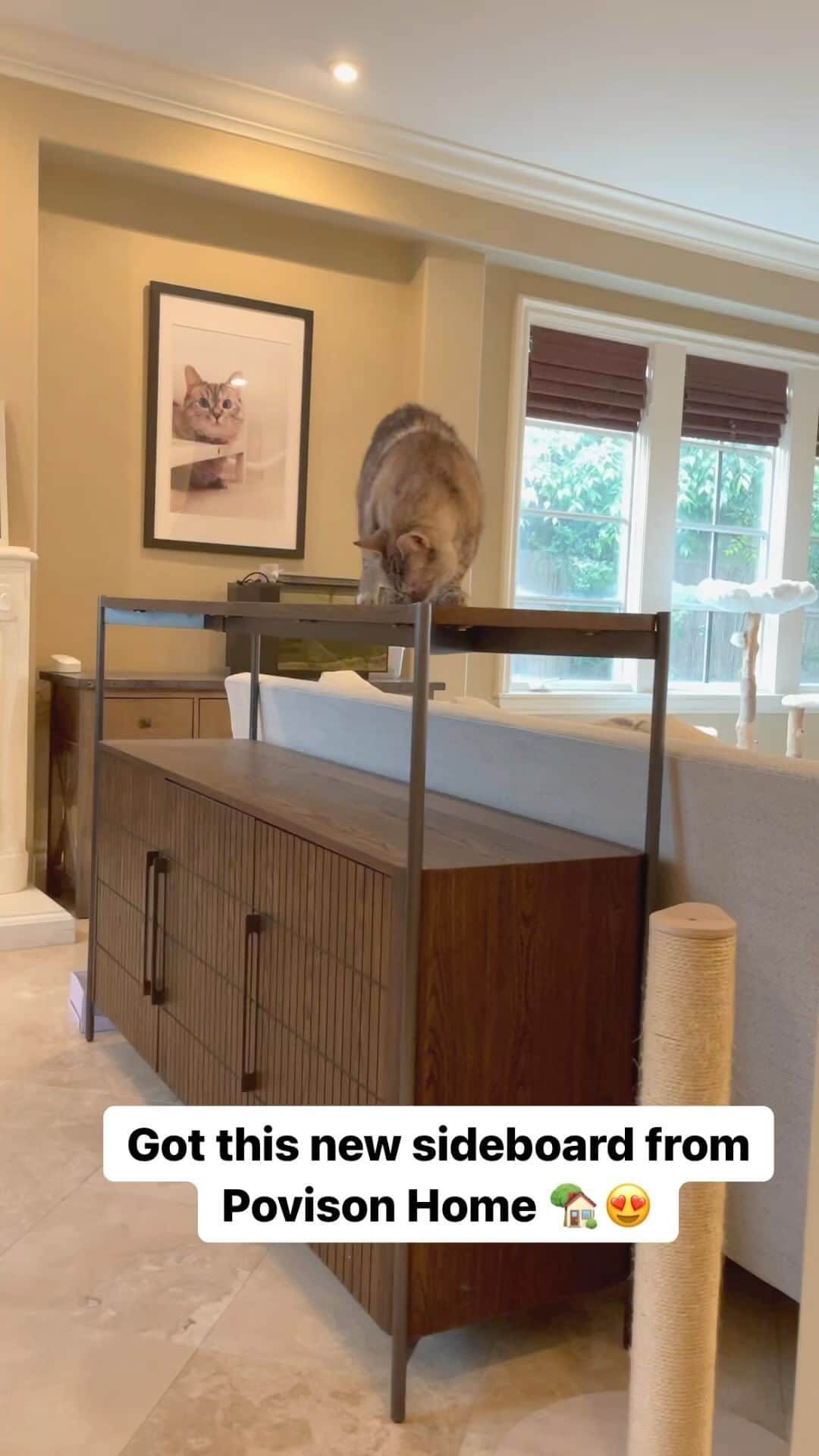 nala_catのインスタグラム：「Thank you @Povisonhome for my new sideboard. I love it 😻 Use code Nala10 for 10% off your order. Click link in my bio    #gifted #homefurniture #cat #meow」