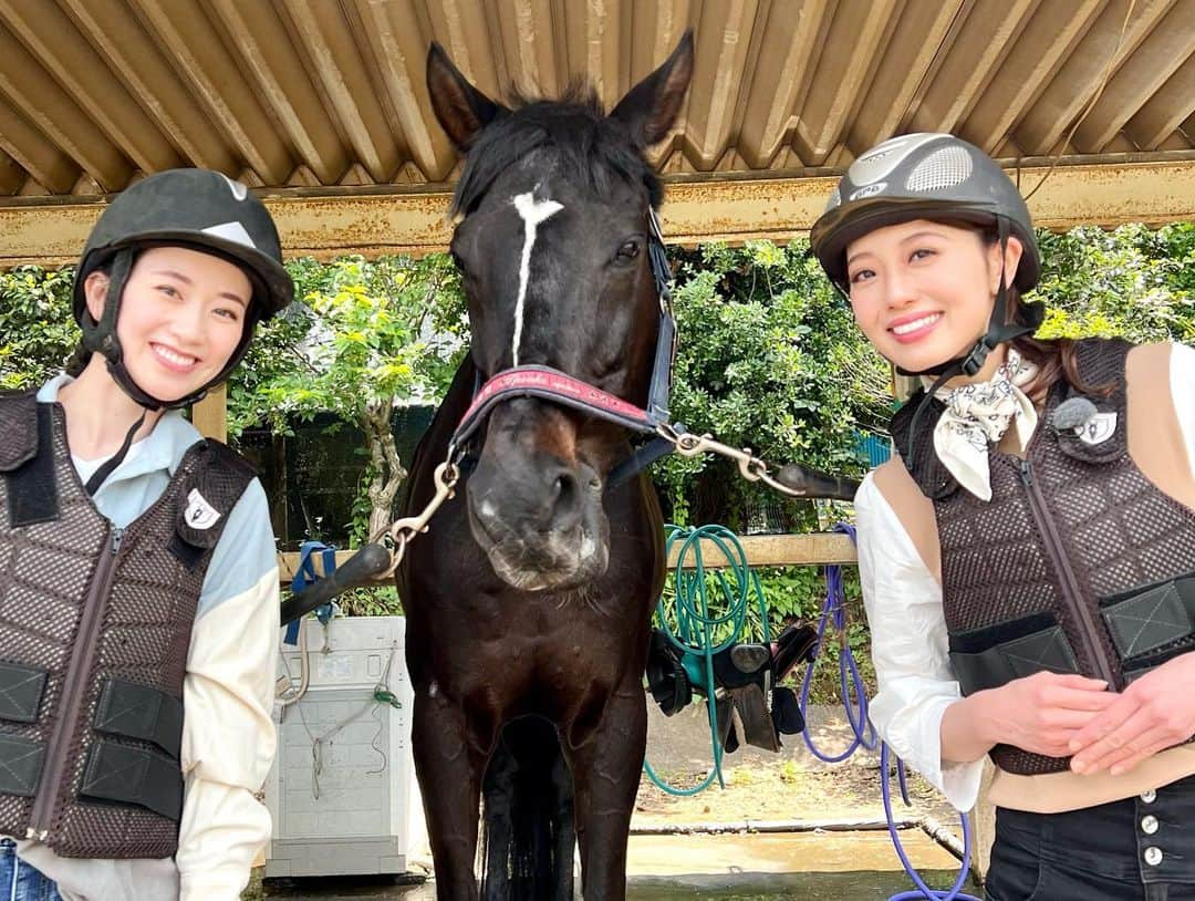 星南のぞみさんのインスタグラム写真 - (星南のぞみInstagram)「🐴🩵  見て下さった皆様 ありがとうございました！  貴重なゲストに呼んで頂き、感謝の気持ちでいっぱいです🫧 ひらめさんの事話足りませんでしたー😭  ひらめさん、中島さん、スタッフの皆様 本当にありがとうございました🙇‍♀️  乗馬またやりたいなぁ🐎 かっこいいネロくん 乗せてくれてありがとう♡  #アプレジェンヌ #cs #hulu #朝月希和 さん#中島芽生 さん#星南のぞみ  #乗馬体験」5月28日 7時45分 - seina_nozomi