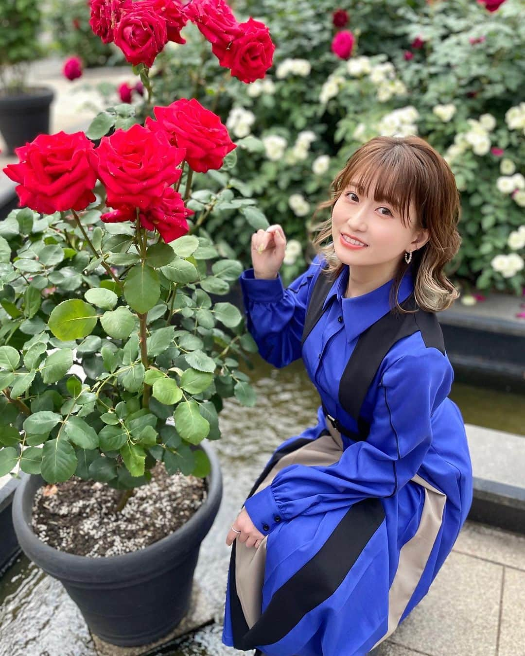 津田麻莉奈さんのインスタグラム写真 - (津田麻莉奈Instagram)「#おはよーちゃん いよいよダービー！！！🐎  今日は #グリーンチャンネルWeb にて #キャプテン渡辺のオンライン競馬パーティ 生放送！  ✨🐴キャプテン渡辺のオンライン競馬パーティ🐴✨ 〜ダービーDAY に大集結〜 ■配信日:2023 年 5 月 28 日(日)12:00~16:00 ■配信チャンネル:5ch(マルチ会員の方のみご視聴頂けます) ■配信内容:【グリーンチャンネル Web 限定配信】 キャプテン渡辺のオンライン競馬パーティを開催!稲富菜穂、鈴木ショータ、津田麻莉奈のおなじみの3人とともに、今回はグリーンチャンネルのスタジオから生配信でお   届けします。数々のミラクルを起こしてきたチーム馬券の炸裂なるか!? 【出演者】 キャプテン渡辺さん、稲富菜穂さん、鈴木ショータさん、津田麻莉奈 (↑公式から引用しました)  ぜひご覧ください🥰 写真は先週のオークスにて🌹  #日本ダービー #まりなる #津田麻莉奈」5月28日 8時11分 - tsudamarinal