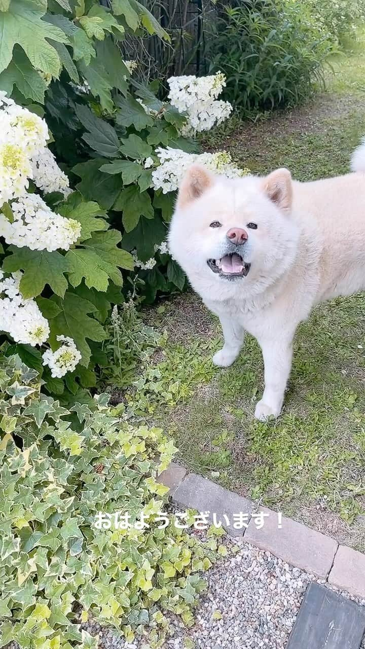 水谷雅子のインスタグラム