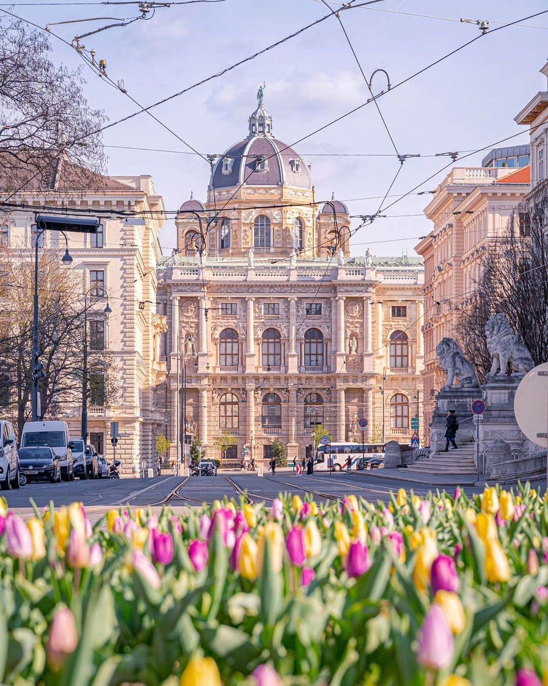 Wien | Viennaさんのインスタグラム写真 - (Wien | ViennaInstagram)「Who can guess the building depicted in this beautiful photo by @romanpixs? ❤️ #ViennaNow  #vienna #wien #vienna_city」5月27日 23時37分 - viennatouristboard