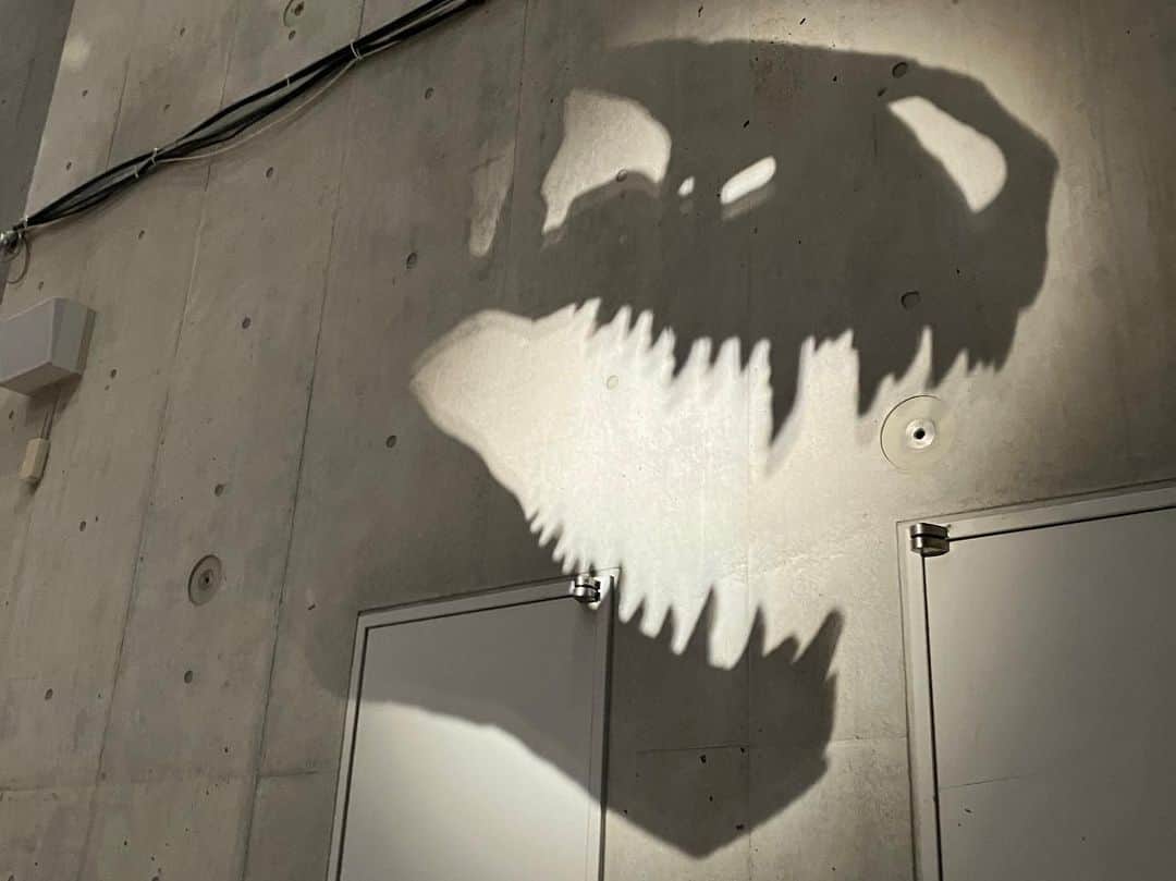 中嶋春陽さんのインスタグラム写真 - (中嶋春陽Instagram)「先日、#恐竜博2023 へ行ってきました🦕  どれも嘘でしょ？！と思うような姿形をしているけど、"実物"って書いてあるのを見て、本当にいたんですね…と、とにかく圧倒されっぱなし。  また学名がどれも結構個性的で、由来を見るのも楽しいですね。(ゴルゴ…。)  この前サメ展へ行った際、"歯の形で種が分かる"というのがとても印象に残っていたので恐竜はどうかな、と歯を見てみると…ほんとだ違う！ やはり食べるものによって全然違うんだな。人間も食べ物が違えば鋭い歯にもなり得たのかな、と想像したり。 (吸血鬼ってそうだもんなぁ)  常設展も見終えて外に出ると、そこにいたカラスでさえも神秘的な存在に思え、普段あまり感じていなかったファンタジーを身近なところで感じられるって素敵だなぁと、改めて思いました。  さて、サメや恐竜をたくさん見てきたことだし、絵に描こうかな！  #国立科学博物館」5月27日 23時44分 - hal_ru