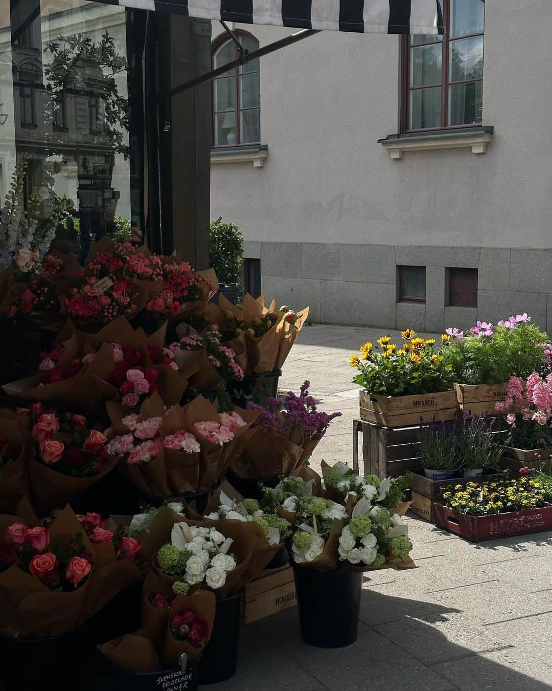 Jessy Hartelさんのインスタグラム写真 - (Jessy HartelInstagram)「Stockholm by day」5月28日 0時21分 - jessyhartel