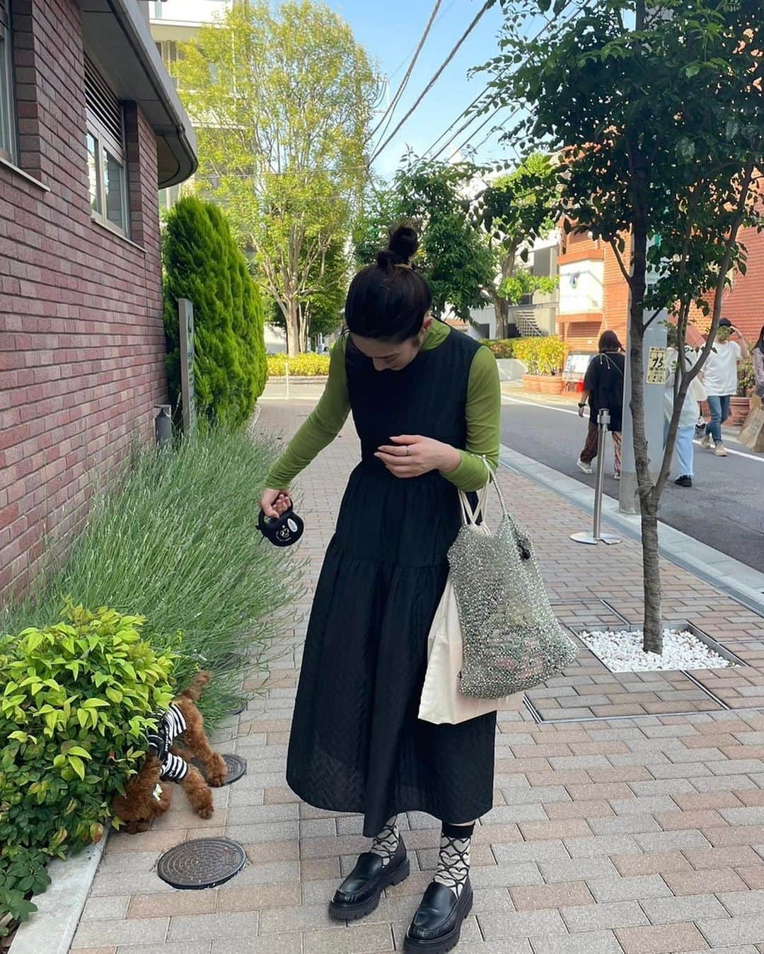 土井悠さんのインスタグラム写真 - (土井悠Instagram)「念願の茶々丸さま( ◠‿◠ )🩵🐶🫖🪄美味しそうな唐揚げのようでかわいい…やはり飼い主さまの抱っこがいちばん安心🤲🏻」5月28日 0時14分 - yu_doi