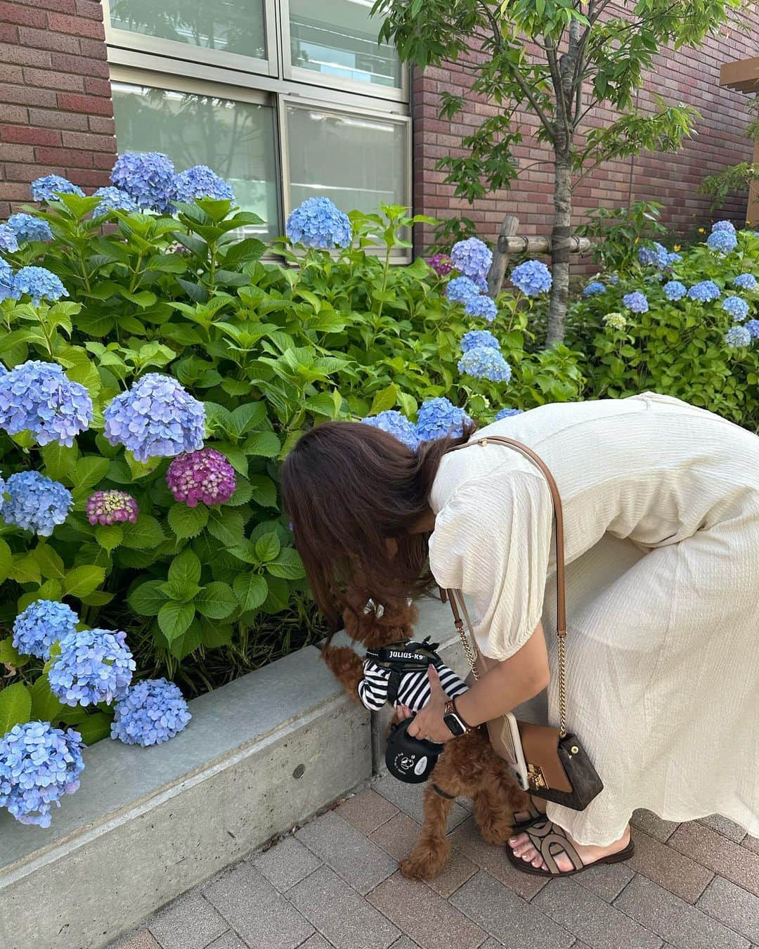 土井悠さんのインスタグラム写真 - (土井悠Instagram)「念願の茶々丸さま( ◠‿◠ )🩵🐶🫖🪄美味しそうな唐揚げのようでかわいい…やはり飼い主さまの抱っこがいちばん安心🤲🏻」5月28日 0時14分 - yu_doi