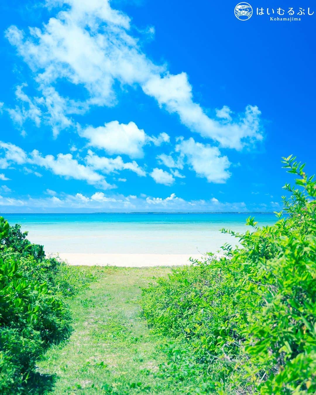 HAIMURUBUSHI はいむるぶしのインスタグラム：「小浜島・はいむるぶしから癒しの風をお届けします。 はいむるぶしビーチ奥にある海の道… 緑の草木と芝生の道の先には白い砂浜、そして八重山ブルーの海へと続いてます。 ここにしかない、美しい自然に心が安らぎます。 #沖縄 #八重山諸島 #離島 #サンゴ礁 #海 #砂浜 #景色 #小浜島 #リゾート #ホテル #はいむるぶし  #japan #okinawa #yaeyama #island #blue #sea #white #beach #beautiful #scenery #resort #hotel #haimurubushi」