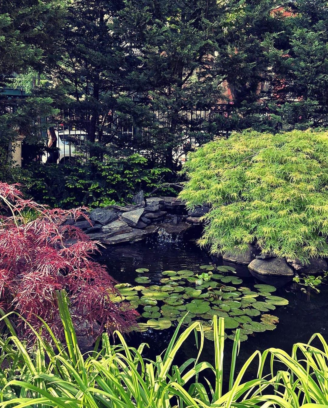 村田沙耶香さんのインスタグラム写真 - (村田沙耶香Instagram)「I love and miss this garden.  この美しい庭が大好きで、恋しいです。」5月28日 0時53分 - sayaka_murata_