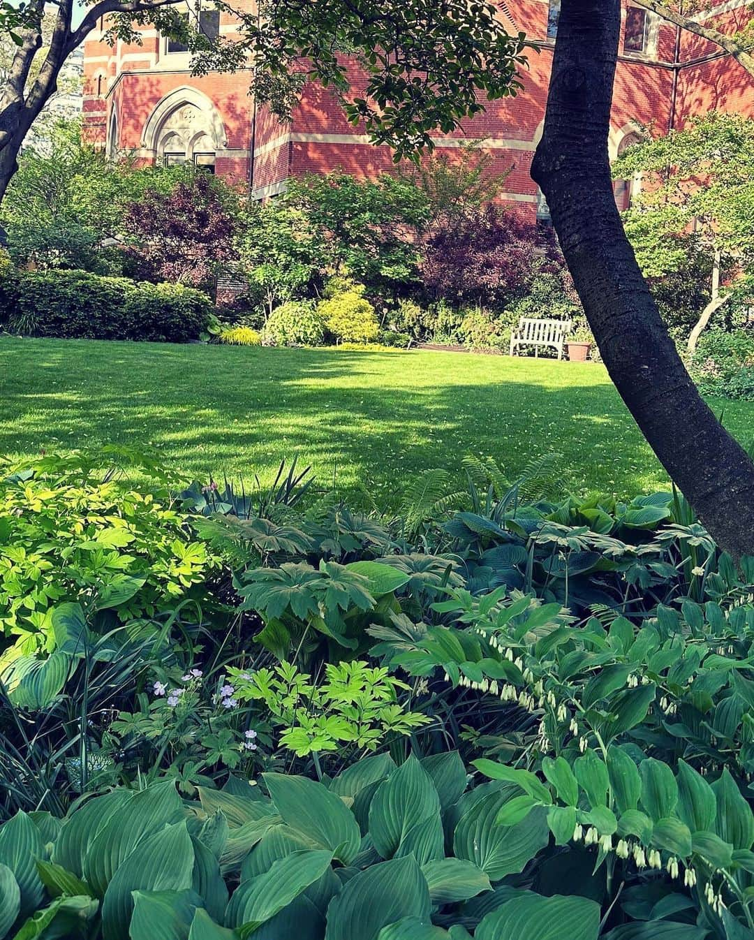 村田沙耶香さんのインスタグラム写真 - (村田沙耶香Instagram)「I love and miss this garden.  この美しい庭が大好きで、恋しいです。」5月28日 0時53分 - sayaka_murata_