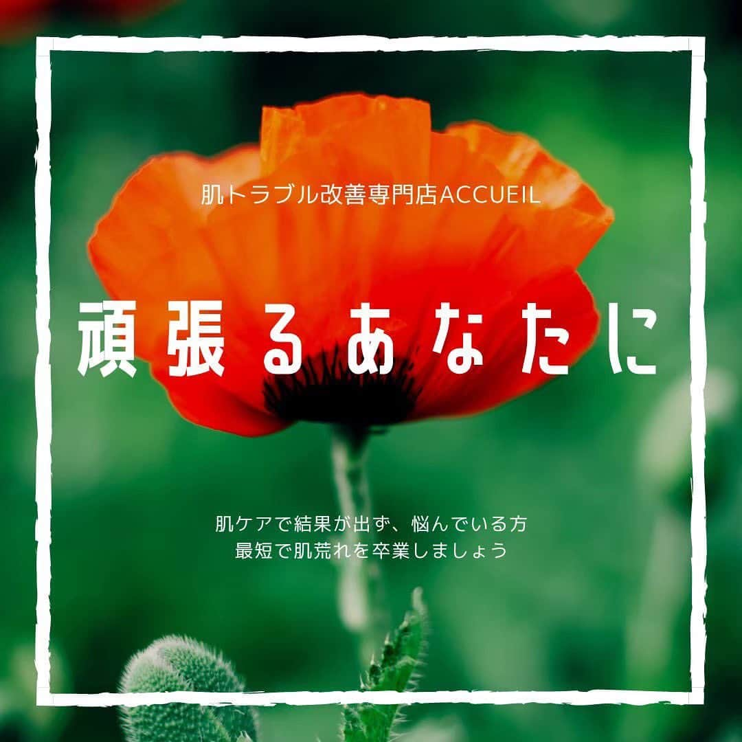 肌質改善専門サロン~Accueil~のインスタグラム：「💌インスタのDM💌 ご希望日時・お名前・生年月日・お悩み内容をご明記の上ご連絡ください♡  🌿LINEの予約🌿 ご希望日時・お名前フルネームをご返信ください♡  📞お電話でのご予約📞 03-6912-5705にお願いします♡  ┅ ┅ ┅ ┅ ┅ ┅ ┅ ┅ ┅ ┅ ┅ ┅ ┅ ┅ ┅ ┅ ┅ ┅ ┅   当サロンAccueil(アクール)は 【年間7000人の肌トラブル改善実績あり‼️】  お手当は【オールハンドケア🤲🥚】 となっており、痛みや刺激は一切ありません🧖‍♀️🤍  お肌への優しさを追求しているのが特徴の一つです😌💓  【こんな方にオススメです⬇️】 🌟ニキビ肌との戦いに心が疲れた😫 🌟ニキビ跡を隠すのはもう嫌‼️ 🌟マスク無しは毛穴の開きが心配😷🌀 🌟乾燥肌で顔が赤くなって困っている😢 🌟黒ずみ小鼻とおさらばしたい💔  一つでも当てはまったら、 当サロンにおまかせ下さい👌 天然の温泉成分であなたのお肌を 深部から蘇らせます💓  　♨️施術の流れ♨️  1️⃣ふわふわ泡🤍ミネラル洗顔 2️⃣肌負担0✨ 角質除去ミネラルピーリング 3️⃣ぽかぽか🍯 温泉パック 4️⃣収れん化粧水🌱 ミネラルパック 5️⃣イオンミルキーローション🌟お仕上げ  🌼肌のケアだけでなく根本改善を図る為のマッサージや自律神経調節のメニューも取り揃えてます💓日頃のストレスもスッキリと解消していきます💪  🌼施術の前後でカウンセリングを行います！！💆‍♀️before/after をしっかりとご実感して頂けると思います♪♪  🌼場所は【池袋駅から徒歩6分】🚶‍♂️🌳 ▶︎ご不明であればお尋ねください☺️  🌼メニューはクーポン含め豊富に取り揃えております。  どんなお肌でも必ず改善する方法があります！ 気になった方はコメント、DMお待ちしております♪ ┅ ┅ ┅ ┅ ┅ ┅ ┅ ┅ ┅ ┅ ┅ ┅ ┅ ┅ ┅ ┅ ┅ ┅ ┅ #ニキビ#ニキビケア#ニキビ跡#ニキビ改善#ニキビ肌#ニキビ治療#背中ニキビ#ニキビ跡ケア#ニキビ肌改善#ニキビ跡改善#エステ#エステ#エステサロン#エステキャンペーン中#毛穴#敏感肌#乾燥肌#すっぴん#肌質改善サロン#肌質改善#美容#池袋#恵比寿#銀座#表参道#渋谷#新宿#新大久保#原宿#美肌#美容女子」