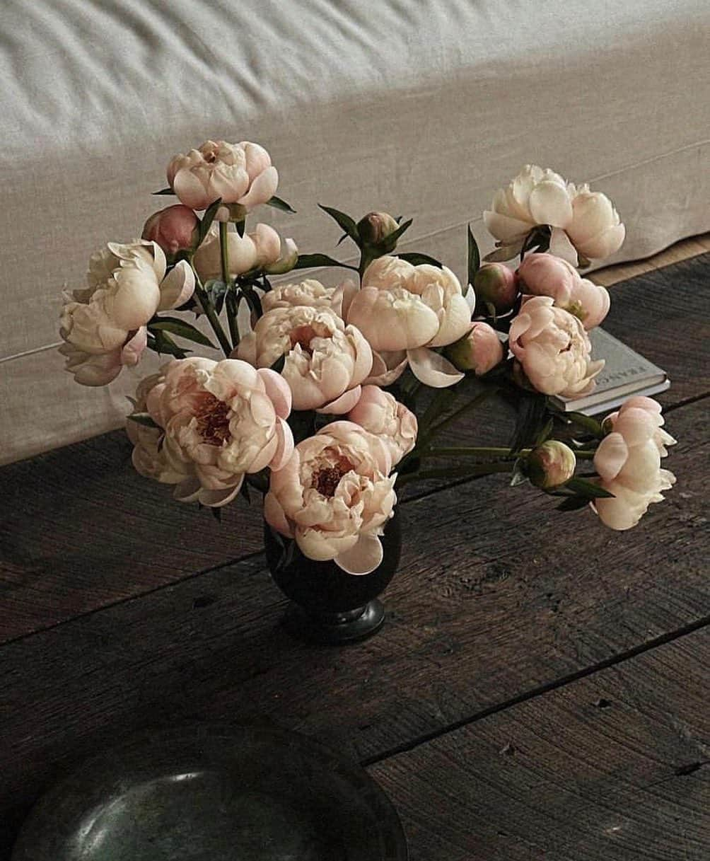 ソニアリキエルさんのインスタグラム写真 - (ソニアリキエルInstagram)「Peonies season via @colinking」5月28日 2時31分 - soniarykiel