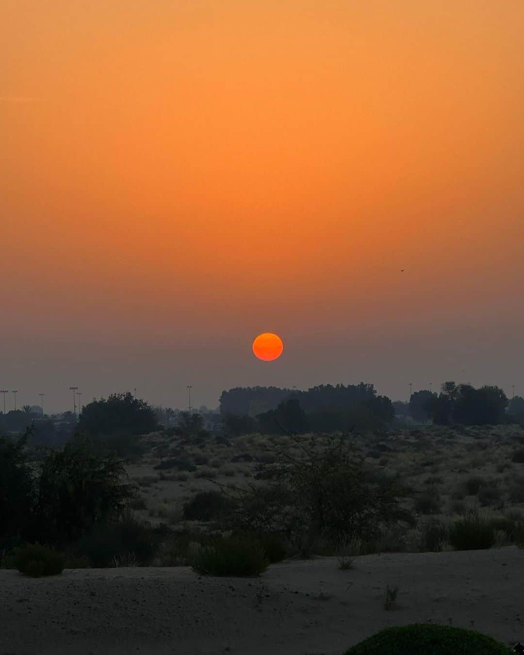 ジョーディン・ウッズのインスタグラム：「something so magical about waking up with the sun」