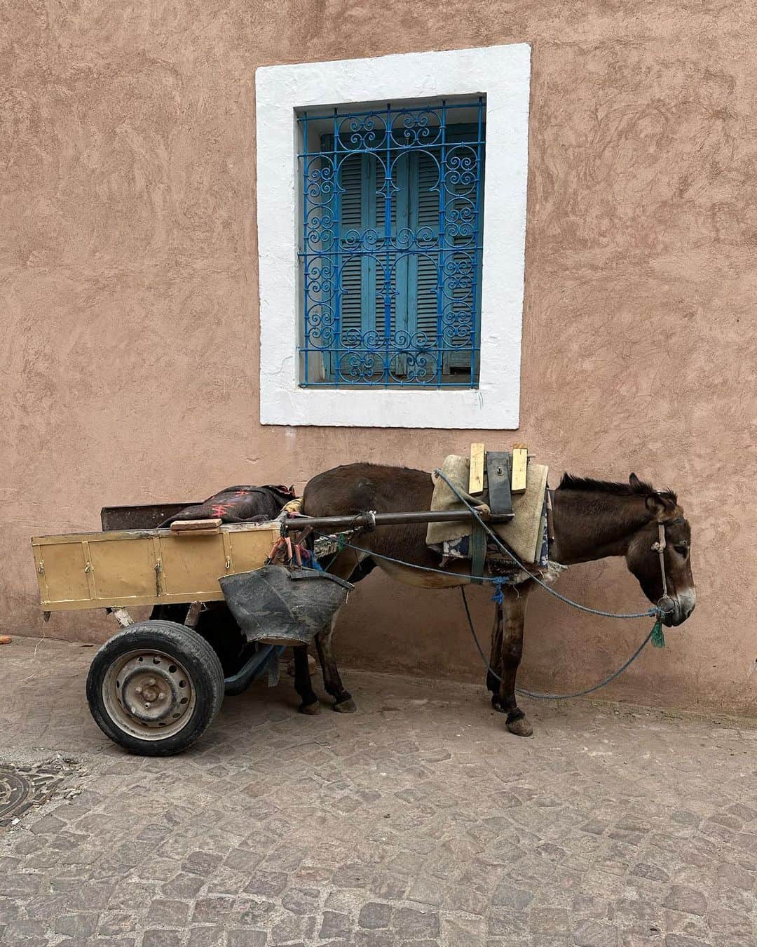 松久信幸さんのインスタグラム写真 - (松久信幸Instagram)「Last day in Marrakech 🇲🇦@nobumarrakech @nobuhotels @noburestaurants  Had a great time」5月28日 3時29分 - therealnobu