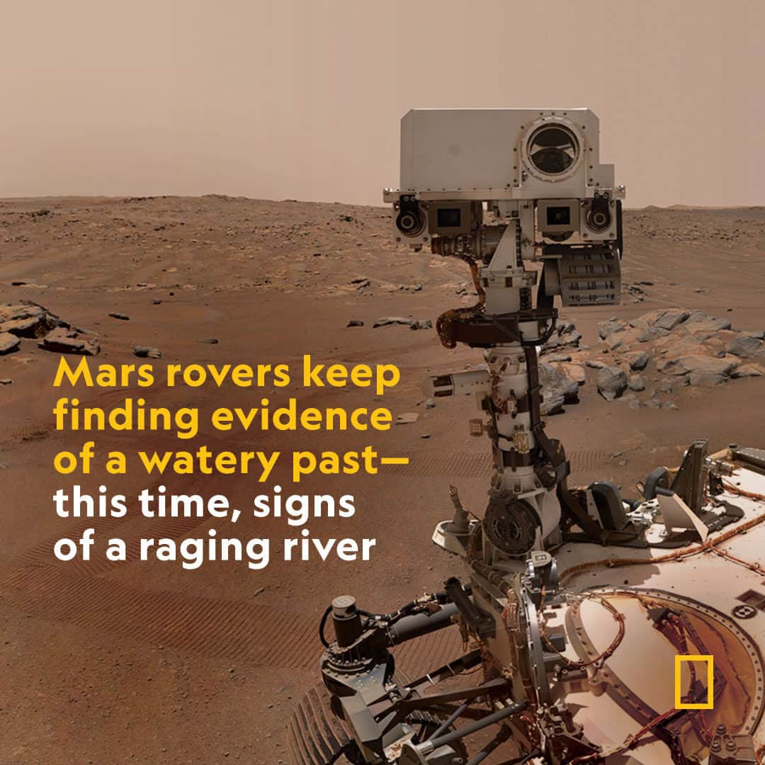 ABC Newsさんのインスタグラム写真 - (ABC NewsInstagram)「A raging river and frost-tipped dunes — both NASA’s Perseverance and China’s Zhurong rovers have recently found signs that Mars may have had more water than expected. Via @natgeo. Tap link in bio for more. #news #mars #science #space  Composite by NASA, JPL-Caltech/MSSS」5月28日 3時30分 - abcnews