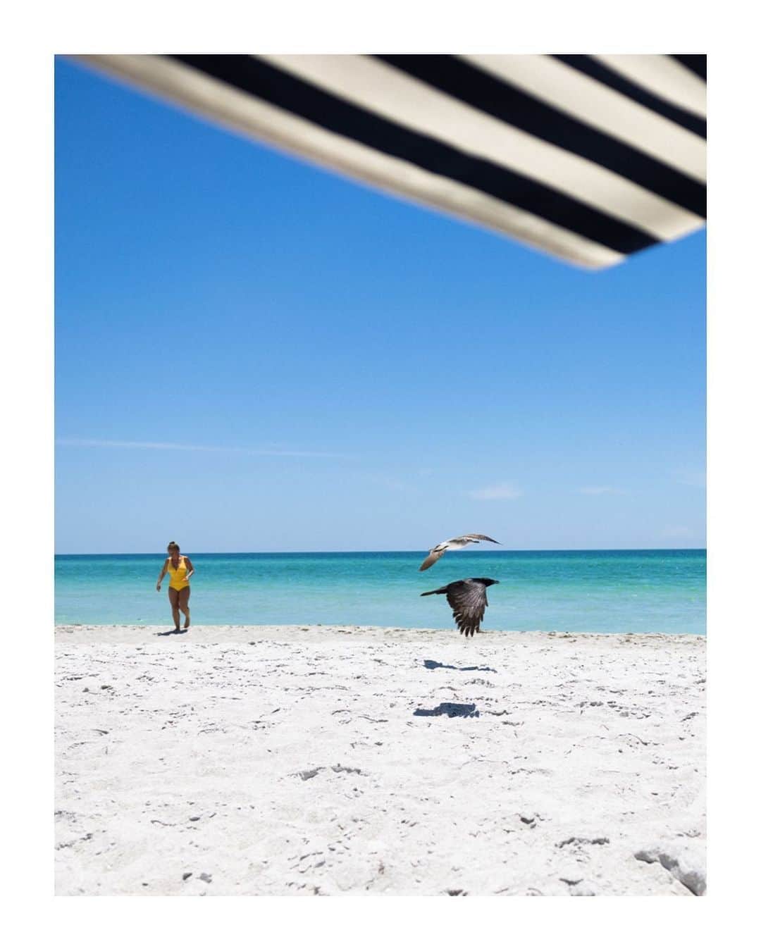 Dylon Yorkさんのインスタグラム写真 - (Dylon YorkInstagram)「New career focus: Street photography…except it’s just me laying on the beach.」5月28日 4時15分 - dylon