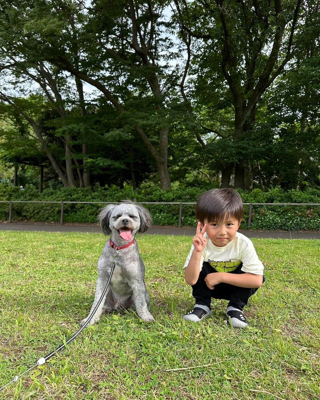 加藤怜のインスタグラム：「えー♡ ロイ 可愛すぎる...♡  #親バカ #犬バカ #犬のいる暮らし」