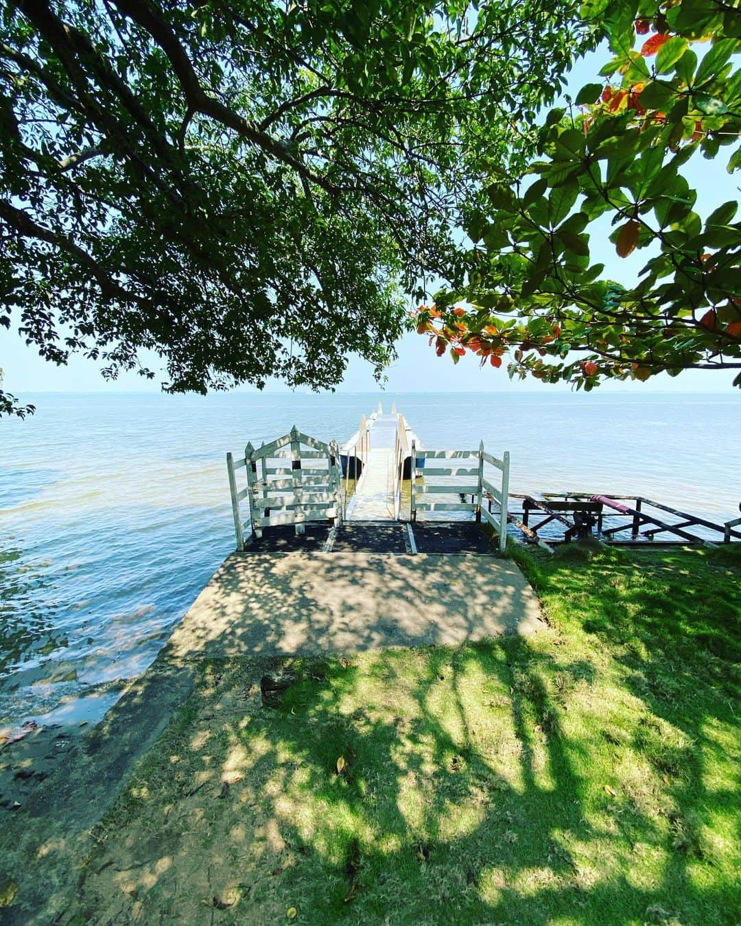 三谷晶子さんのインスタグラム写真 - (三谷晶子Instagram)「桟橋を見るといつも海に漕ぎ出したくなる。  #girlstrip」5月28日 16時57分 - akikomitani