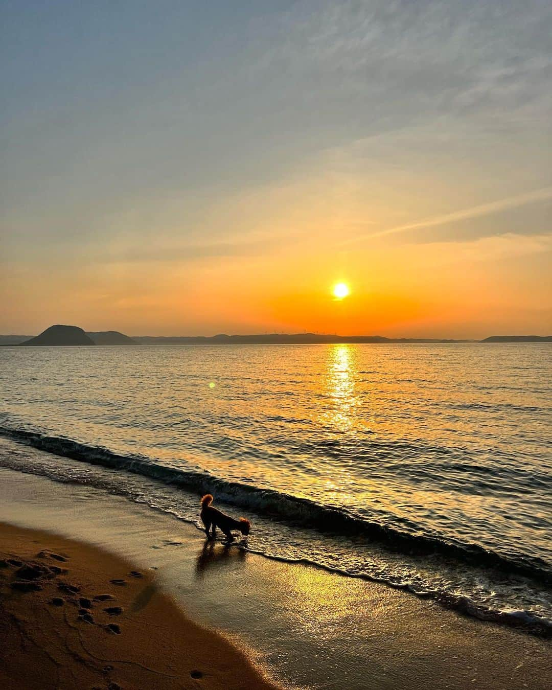 草野春香さんのインスタグラム写真 - (草野春香Instagram)「.🫶🏾🌍💞🐶⛵️  📍 @alfacio.resort.stay.itoshima  夕日が綺麗すぎて テラスからずっと眺めてた🕊✨ 本当に素敵な場所だったな💖  #ALFACIO #アルファシオ#alfacioresortstayitoshima  #糸島 #糸島ホテル #糸島旅行 #糸島宿泊 #糸島観光 #福岡 #福岡ホテル #福岡観光 #ペットと泊まれる宿 #ホテル #プードル #トイプードル #イッヌ #犬のいる暮らし」5月28日 17時00分 - _haruka030_