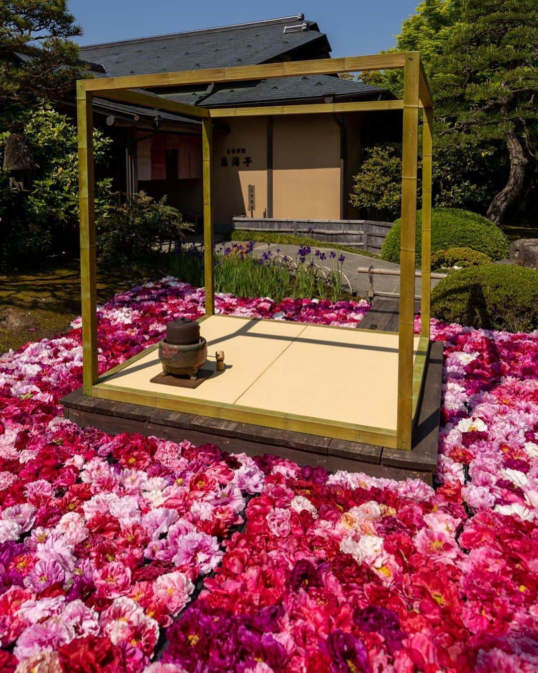 旅行メディア・じゃらん〈公式〉さんのインスタグラム写真 - (旅行メディア・じゃらん〈公式〉Instagram)「#由志園 島根県にある由志園では、約１万２千坪（4万平米）の日本庭園。 GW期間には、園内の池に三万輪の牡丹が浮かべる「池泉牡丹」が開催されます。 ※見頃は終了しています . . ━━━━━━━━━━━━━━━ 📍 島根県「由志園」 📷 @starfes77 📅 2023.5.2 ━━━━━━━━━━━━━━━ . . 素敵な写真ありがとうございました┈✈︎ . . ☑ あらかじめ最新情報をご確認の上、お出かけください。 ☑ #jalan_travel をつけて、ぜひ今までの旅行先の思い出写真を投稿してください。このアカウントでご紹介させていただきます。(じゃらんニュースでも紹介される可能性があります） . . . . . . #いつか行きたい #じゃらん #観光 #観光地 #観光スポット #旅行 #旅行好きな人と繋がりたい #旅行好き #japantravelphoto #japantrip #japantravel #国内旅行 #絶景 #絶景スポット #誰かに見せたい景色 #誰かに見せたい風景 #島根 #島根観光 #島根旅行 #花 #牡丹」5月28日 17時00分 - jalan_net